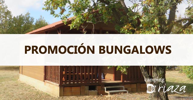 Descuentos en Bungalows