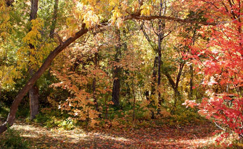 PROMOCIÓN OTOÑO INVIERNO