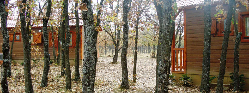 Camping Riaza | Camping en Riaza, Camping en Segovia, Camping Riaza.