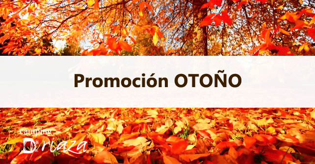 Promotion AUTUMN