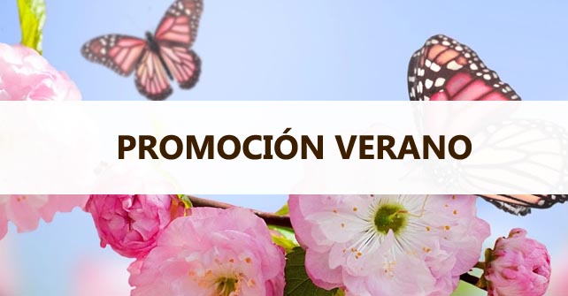 Promoción Verano